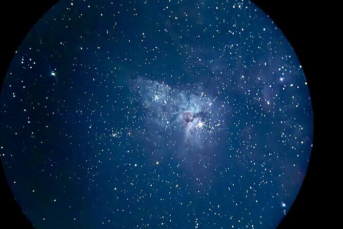 Gold Coast: Glow Worms, Sunset & Stargazing with BBQ dinner - An In-Depth Look at the Tour Experience