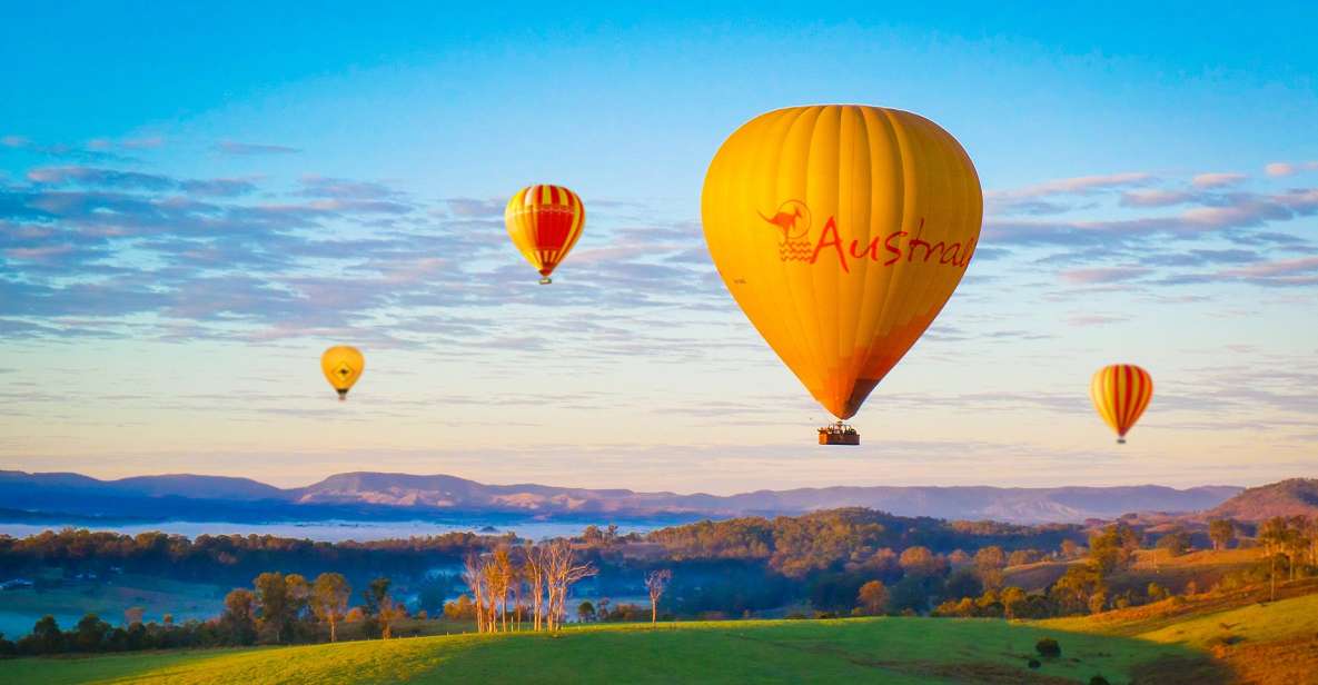 Gold Coast: Hot Air Balloon Flight and Vineyard Breakfast - Activity Experience