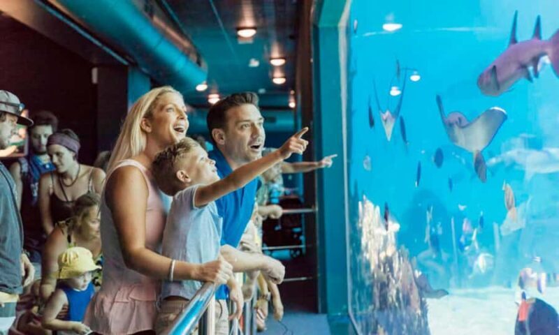 Gold Coast: Jet Boat Ride & Sea World Entry Ticket - Itinerary Breakdown