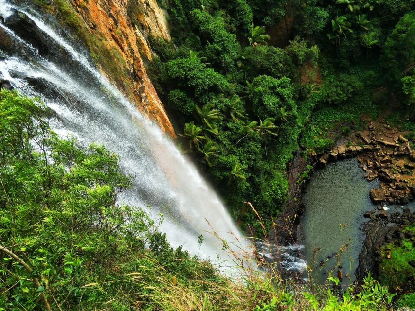 Gold Coast: Kangaroos, Rainforest & Waterfalls Experience - Itinerary