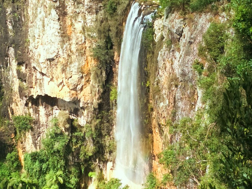 Gold Coast: Kangaroos, Rainforest & Waterfalls Experience - Frequently Asked Questions
