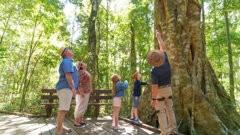Gold Coast: Lamington Treetops, Wildlife and Vineyard Visit - Practicalities and Tips