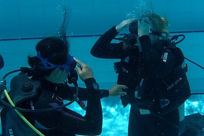 Gold Coast Learn to Dive Open Water Certification Course - Who Should Consider This Course?