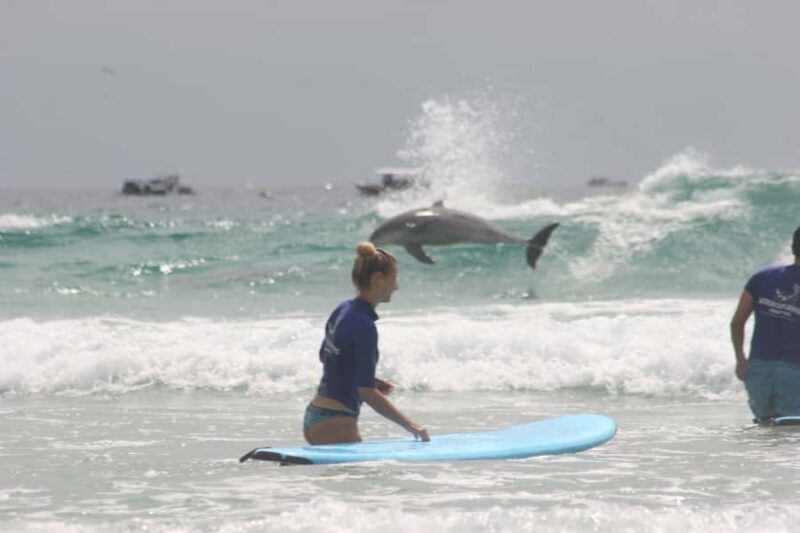 Gold Coast: Learn to Surf Experience with Lunch & Activities - Key Points
