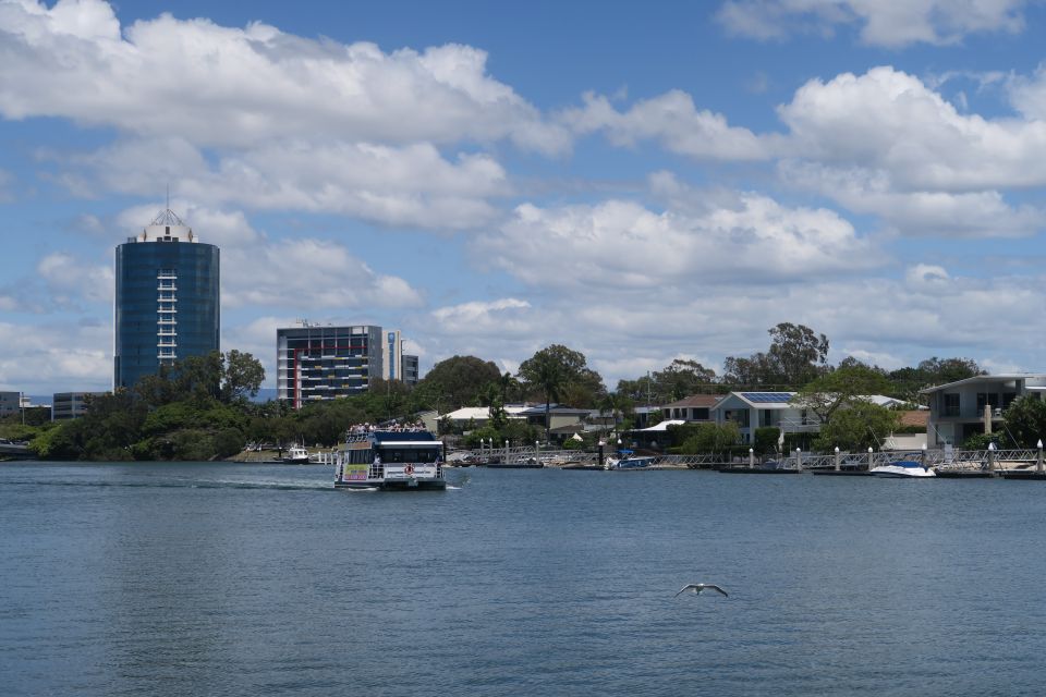 Gold Coast Morning Tea Cruise From Surfers Paradise - Key Points