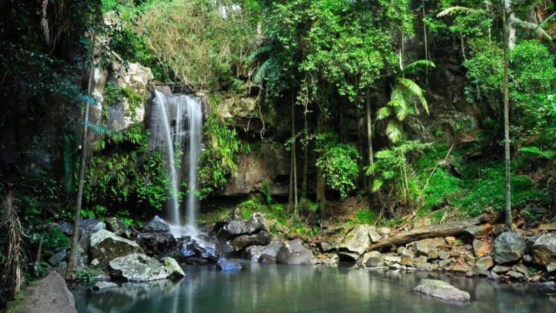 Gold Coast: Mount Tamborine Kangaroo and Koala Day Tour - The Historic Charm of Mount Tamborine and the Manor House