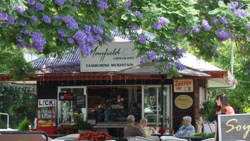 Gold Coast: Mount Tamborine Kangaroo and Koala Day Tour - Gallery Walk: Art, Crafts, and Local Flavor