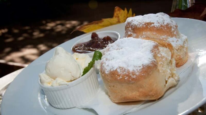 Gold Coast: Mount Tamborine Kangaroo and Koala Day Tour - Panoramic Views from the Mountain Top