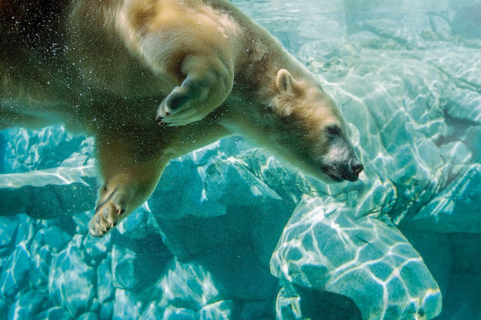 Gold Coast: Movie World, Sea World, WetnWild 14-Day Pass - Inclusions