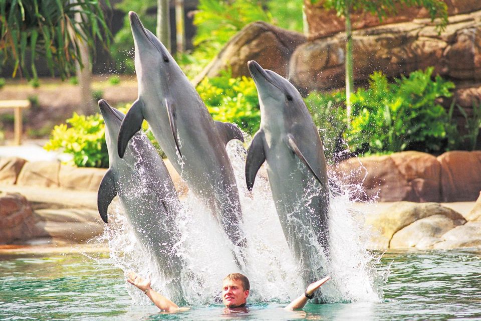 Gold Coast: Movie World, Sea World, WetnWild 14-Day Pass - Meeting Point