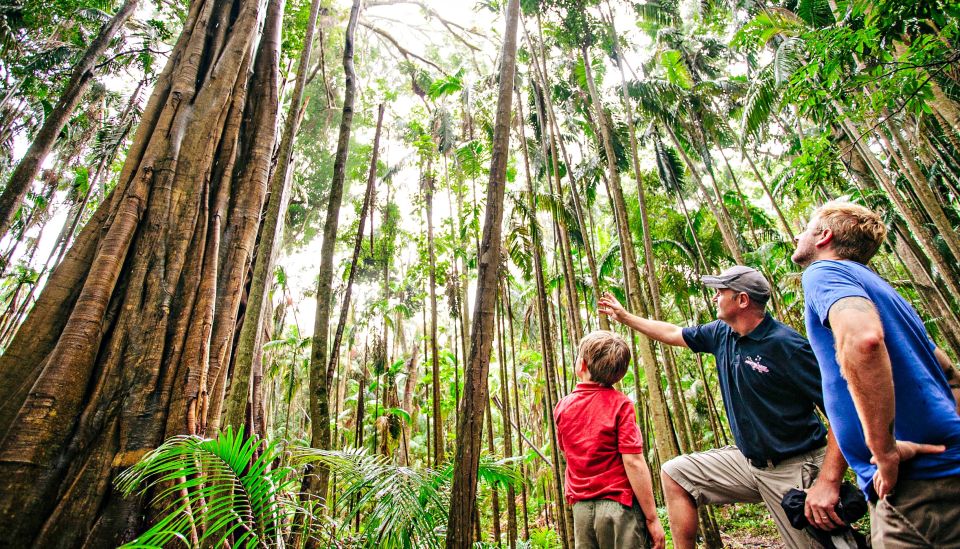 Gold Coast: Natural Bridge & Springbrook Waterfalls Tour - Tour Duration and Language