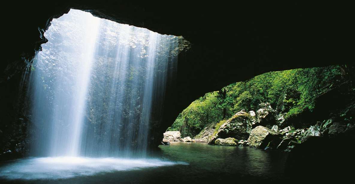 Gold Coast: Natural Bridge & Springbrook Waterfalls Tour - Tour Highlights and Inclusions