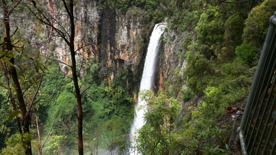 Gold Coast: Natural Bridge & Springbrook Waterfalls Tour - Cancellation Policy and Inclusions