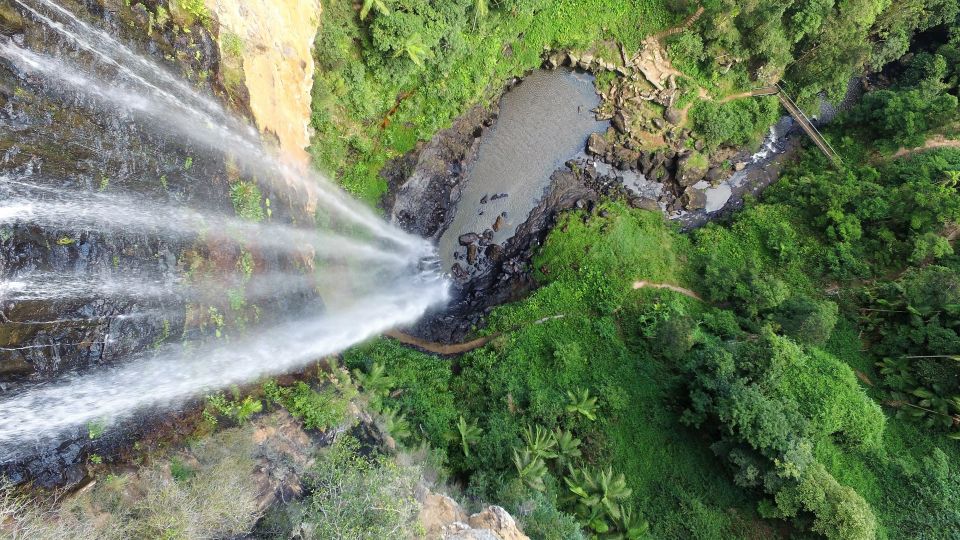 Gold Coast: Natural Bridge & Springbrook Waterfalls Tour - Meeting Point Information