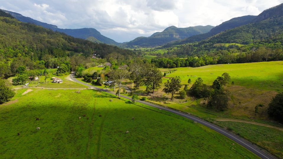 Gold Coast: Natural Bridge & Springbrook Waterfalls Tour - Important Information and Customer Reviews