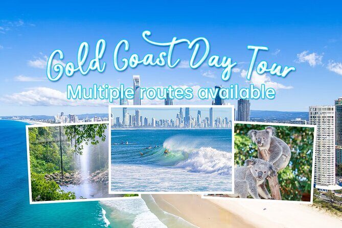 Gold Coast Private Customize One Day Tour - Exploring the Itinerary in Detail