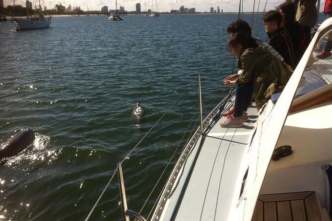 Gold Coast Sailing Cruise with sparkling wine & nibbles platter - Practical Considerations