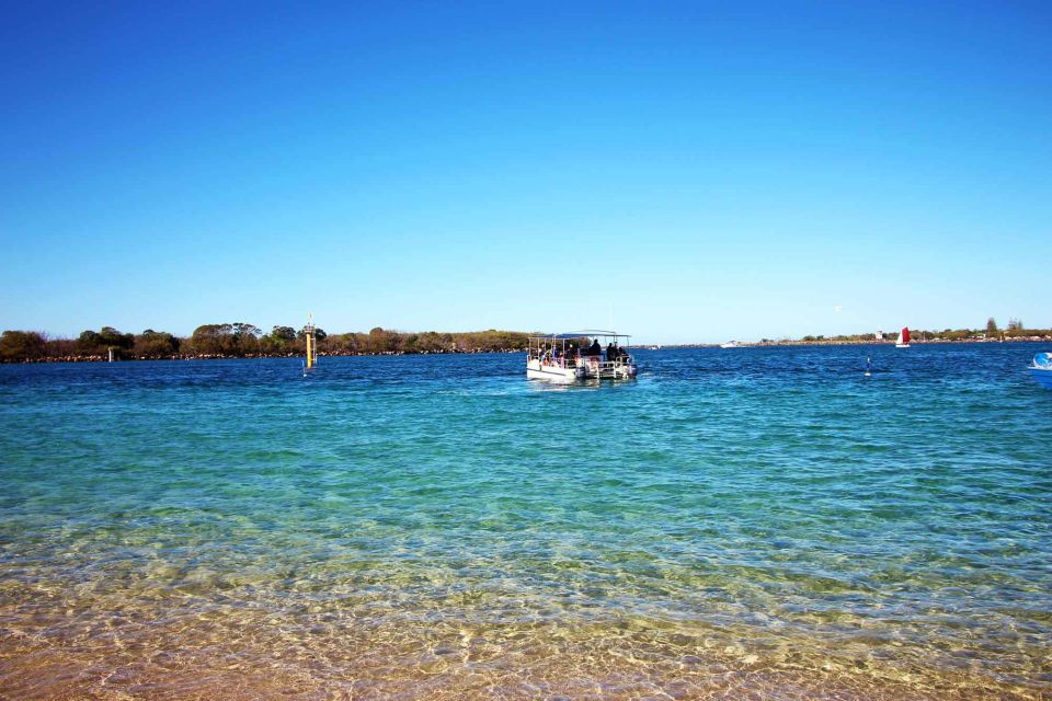 Gold Coast: Snorkelling in Wave Break Island - Key Points