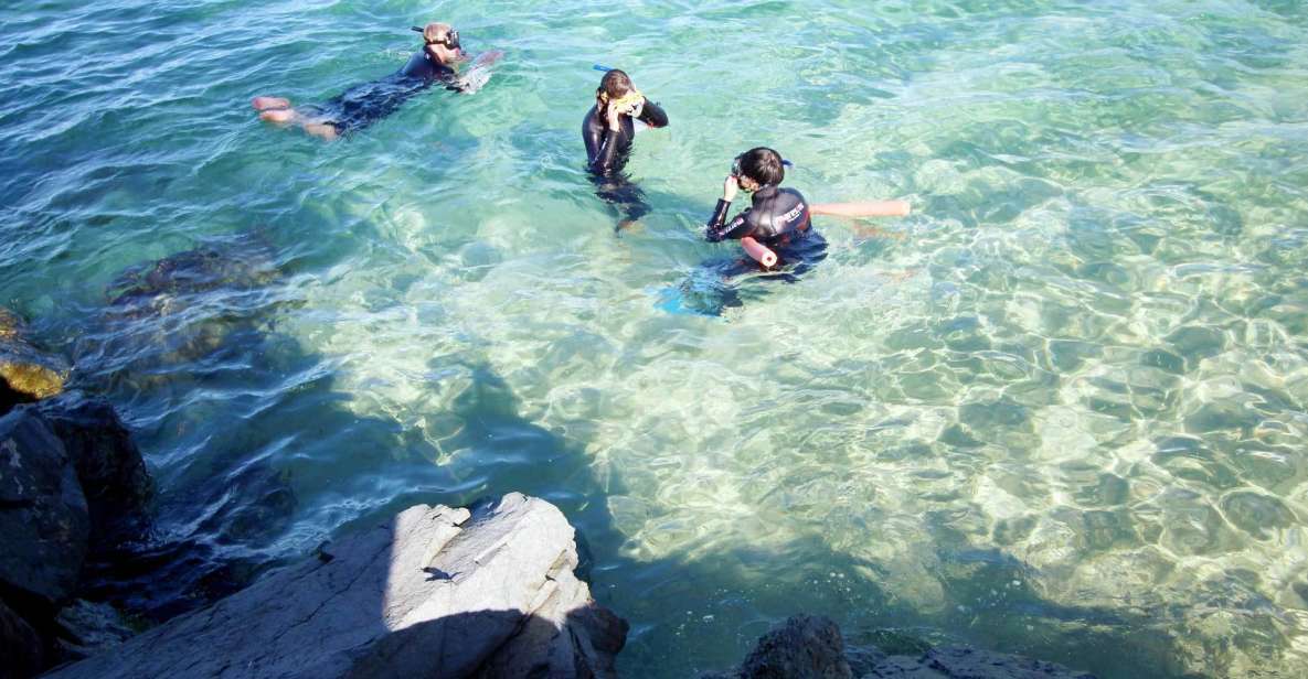 Gold Coast: Snorkelling in Wave Break Island - Directions and Recommendations