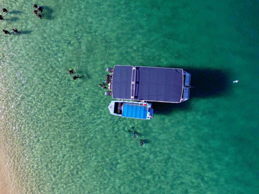 Gold Coast: Snorkelling in Wave Break Island - Frequently Asked Questions