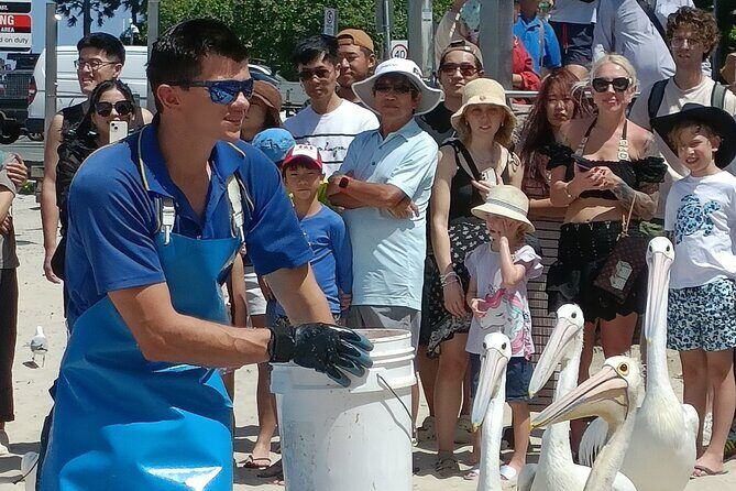 Gold Coast Surfer's Paradise Private Tour from Brisbane - Summary: Is This Tour Right for You?