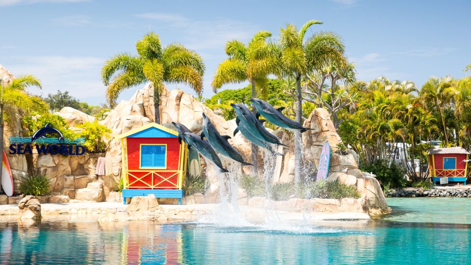 Gold Coast: Surfers Paradise Sightseeing Cruise - Customer Experience and Duration