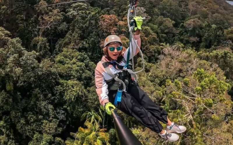 Gold Coast: Tamborine Mountain Canyon Flyer Zipline Tour - The Itinerary: What’s in Store