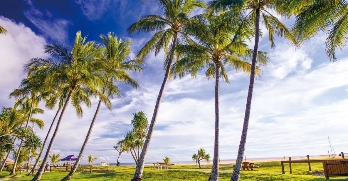 Gold Coast: Tangalooma Beach Day Cruise With Bus Transfers - Destination Description