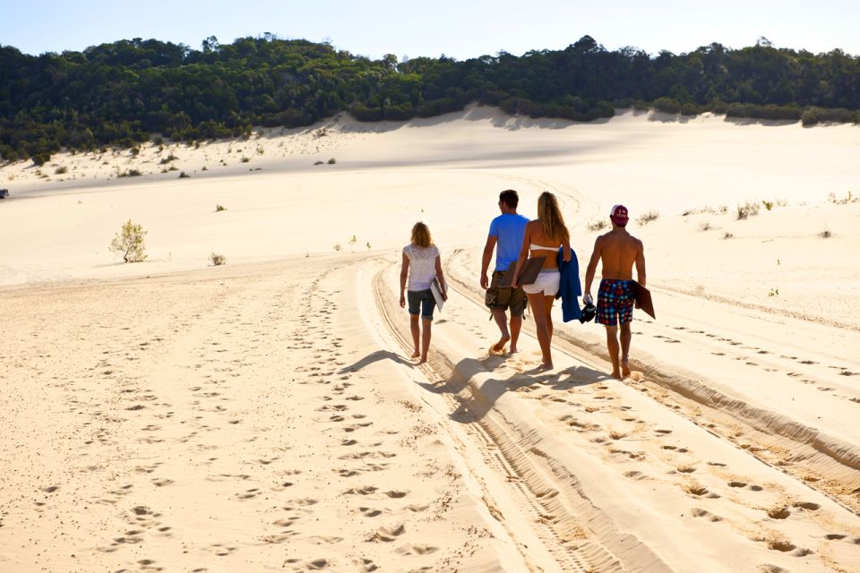 Gold Coast: Tangalooma Desert Safari Day Cruise Transfers - Key Points