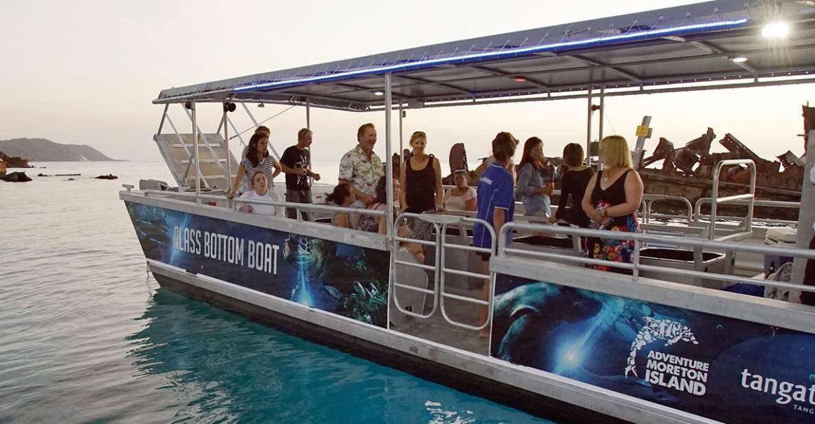 Gold Coast: Tangalooma Marine Discovery Day Cruise Transfers - Key Points