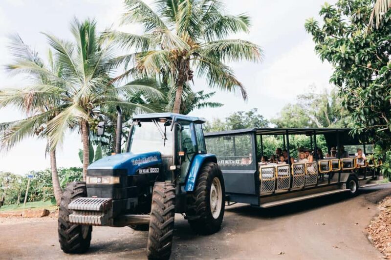 Gold Coast: Tropical Fruit World Full Farm Tour - Key Points