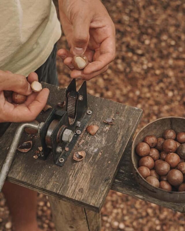 Gold Coast: Tropical Fruit World Full Farm Tour - Final Thoughts: Who Is This Tour Best For?
