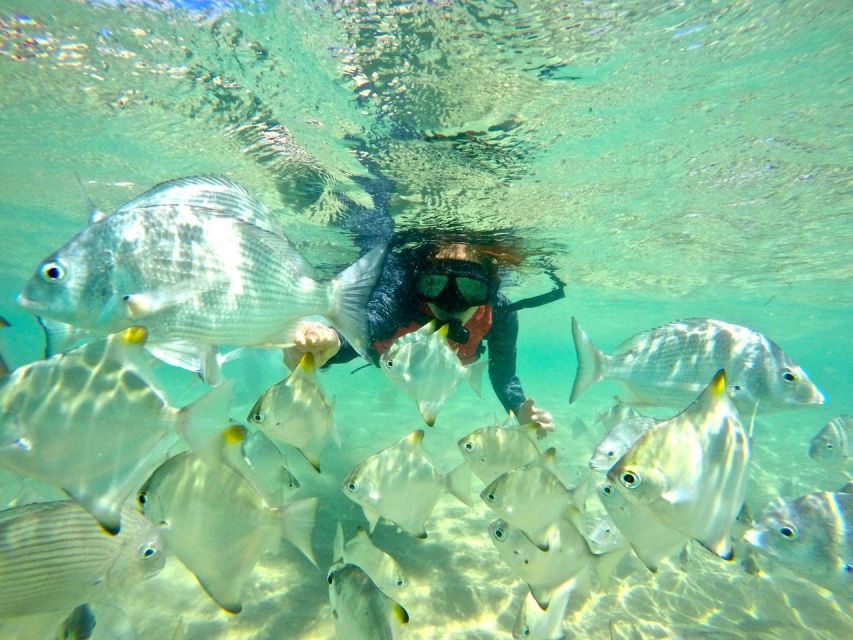 Gold Coast: Wave Break Island Kayaking & Snorkeling Tour - Important Information