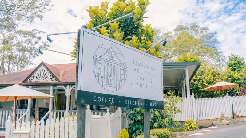 Gold Coast: Wine, Distillery & Rainforest Day Tour - Key Points