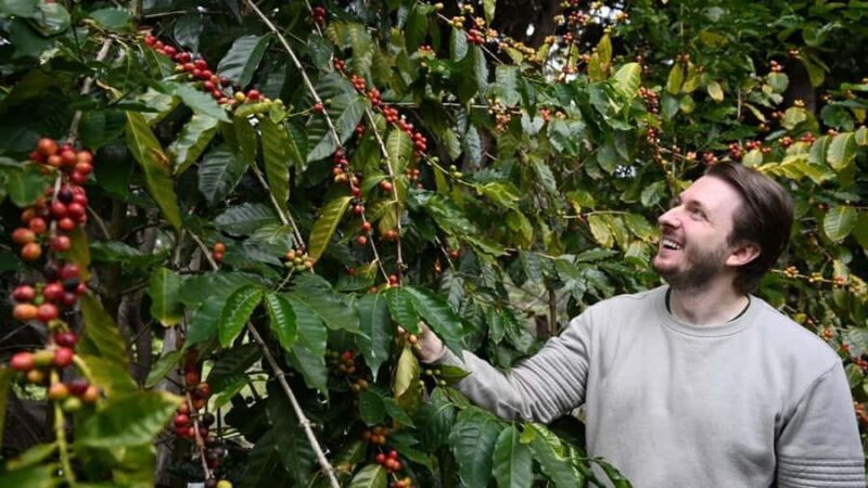 Gold Coast: Wine, Distillery & Rainforest Day Tour - A Day Trip that Balances Nature, Food, and Local Flavors