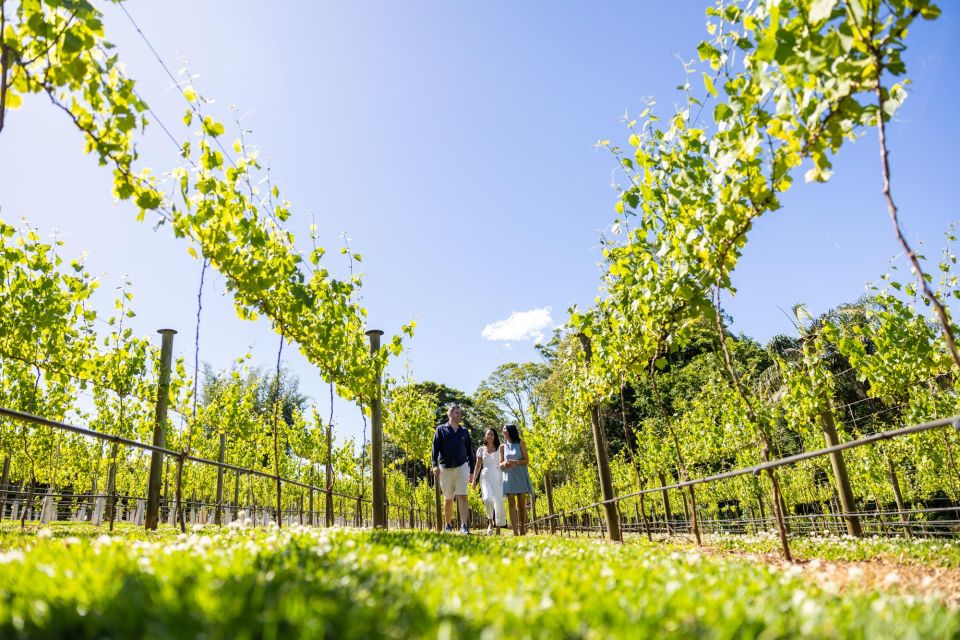 Gold Coast: Winery Tour With Tastings and 2-Course Lunch - Group Size and Inclusions