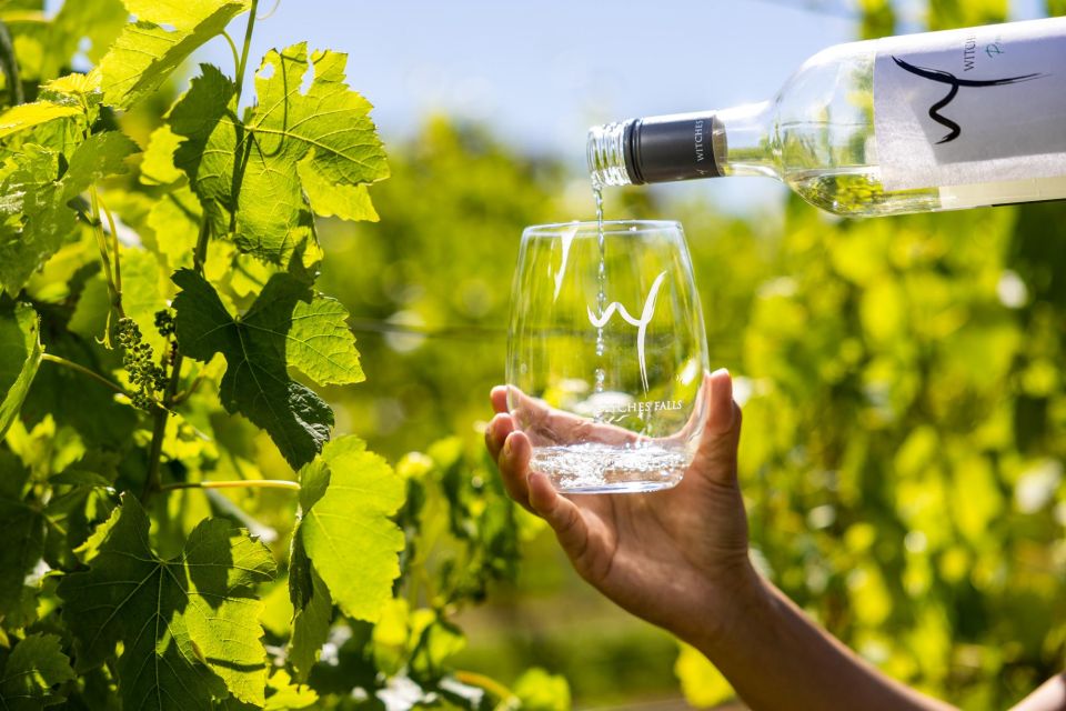 Gold Coast: Winery Tour With Tastings and 2-Course Lunch - Cancellation Policy and Itinerary
