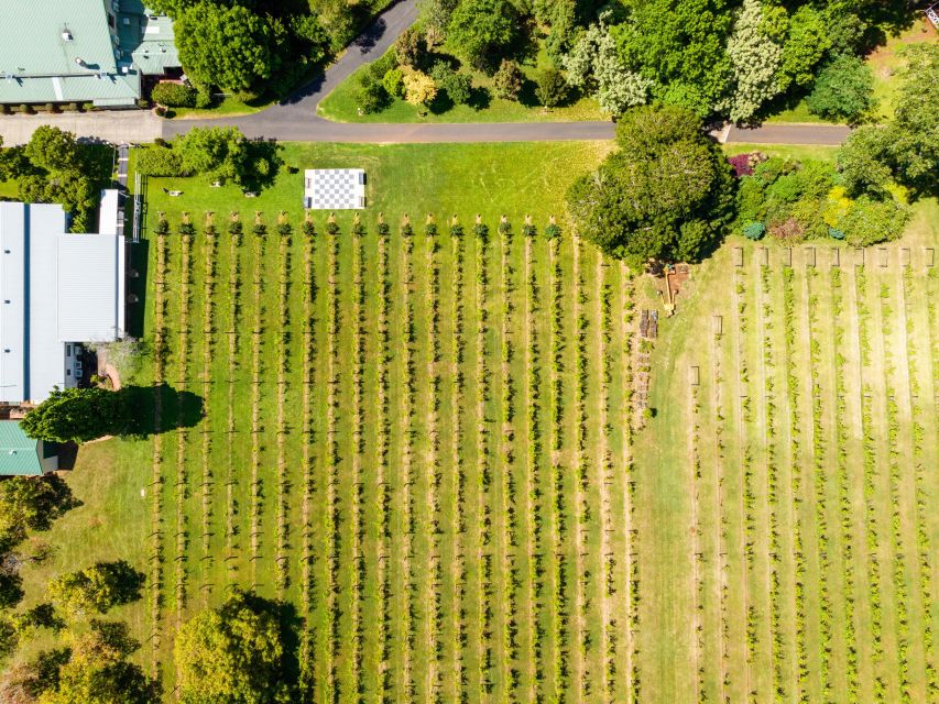 Gold Coast: Winery Tour With Tastings and 2-Course Lunch - What to Bring and Confirmation