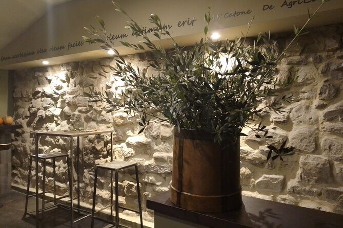 Gold tasting in the Oil Mill in Umbria - An In-Depth Look at the Experience