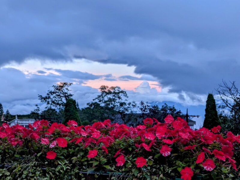 Golden Bridge - Ba Na Hills Full Day Trip From Tien Sa Port - Itinerary Details