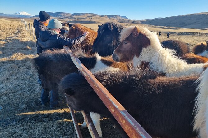 Golden Circle Experience - Private Eco Tour - Eco-Friendly Commitment