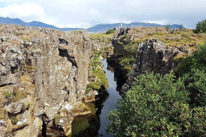 Golden Circle Express. Private Tour From Reykjavik - About the Tour Operator