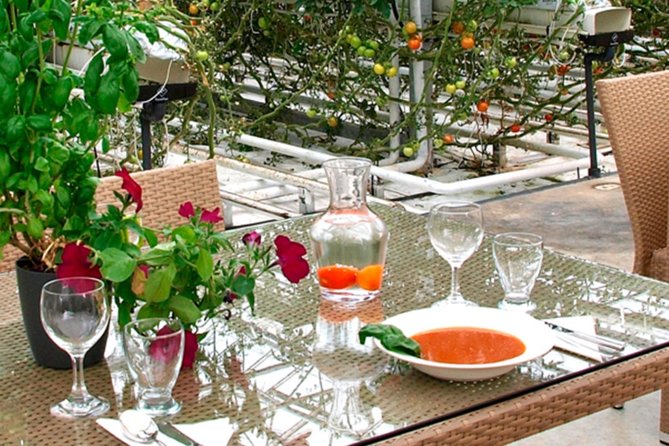 Golden Circle, Secret Lagoon and Tomato Greenhouse Lunch Tour - Cancellation Policy