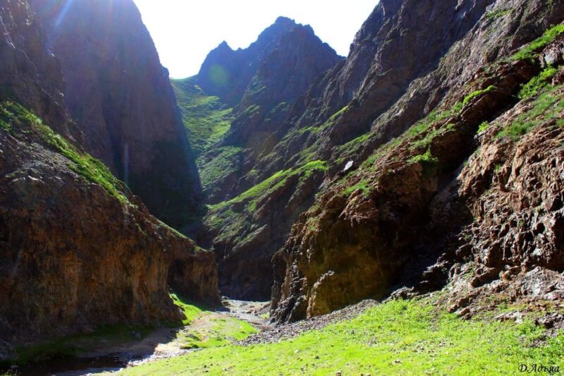 Golden Gobi Tour - Contact Information