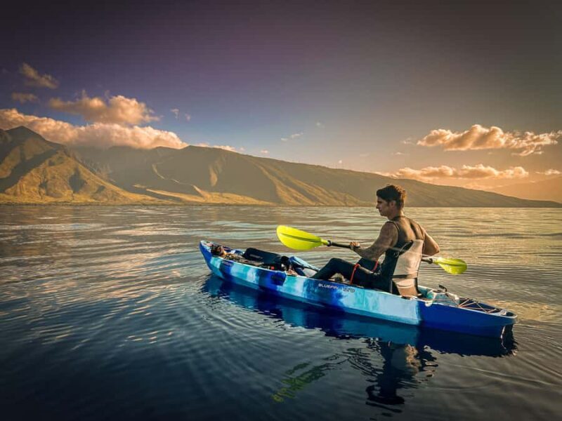 Golden Hour Kayak Cruise Through Turtle Town - An In-Depth Look at the Tour