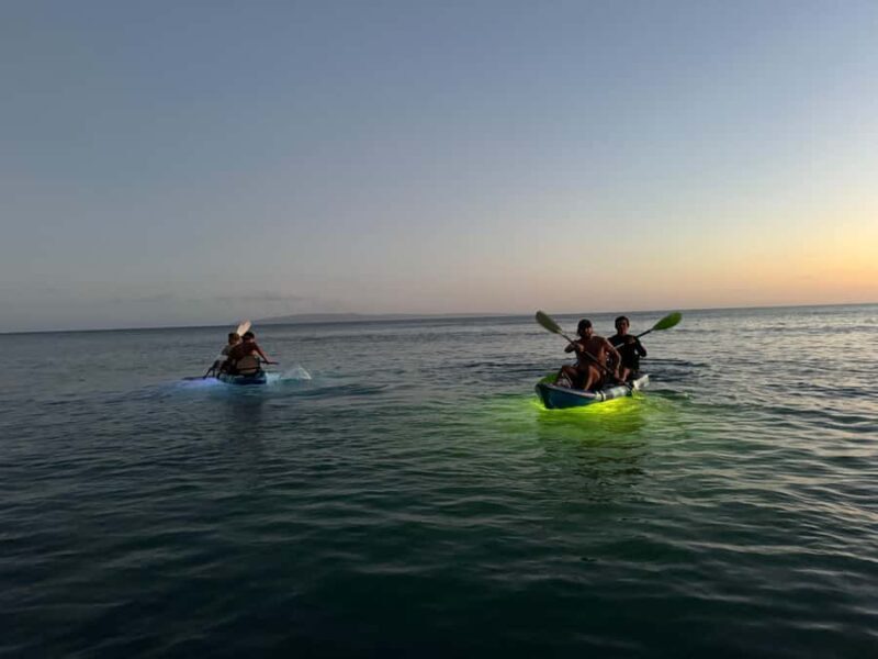 Golden Hour Kayak Cruise Through Turtle Town - Authentic Reviews and Perspectives