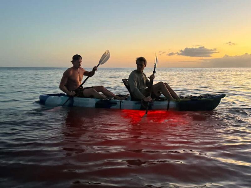 Golden Hour Kayak Cruise Through Turtle Town - Practical Details and Tips