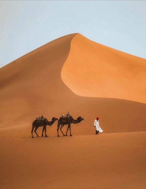 Golden Sands: Exploring Merzouga Magic 3Day Desert Odyssey - Camel Rides and Sunrises