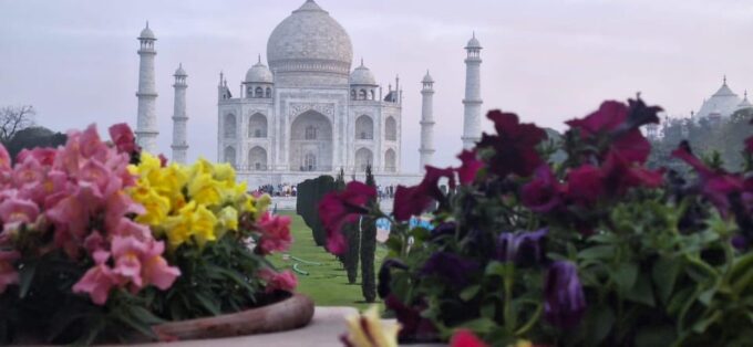 Golden Triangle Tour With Wildlife Exploration - The Sum Up