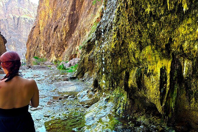 Goldstrike Hot Springs and 124 Degree Magma Heated Waterfall Hike - Introduction